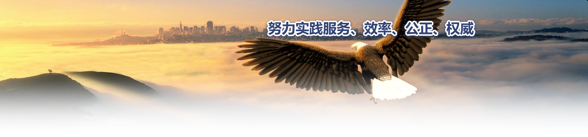 福建方兴招标代理有限公司