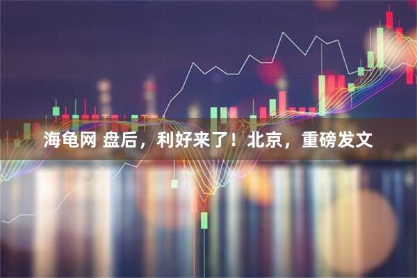 海龟网 盘后，利好来了！北京，重磅发文