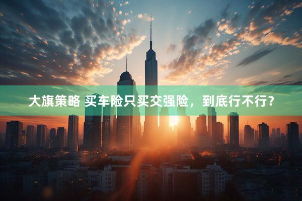 大旗策略 买车险只买交强险，到底行不行？