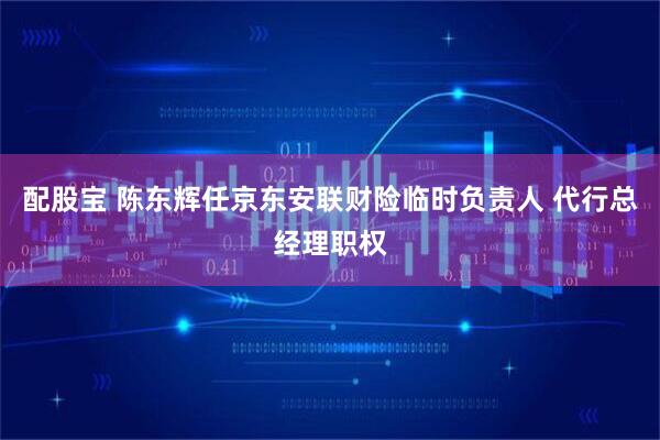 配股宝 陈东辉任京东安联财险临时负责人 代行总经理职权