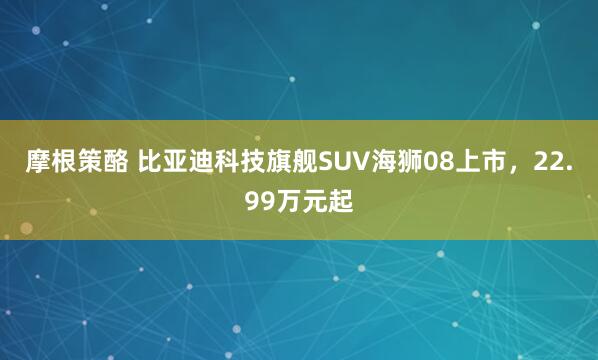 摩根策酪 比亚迪科技旗舰SUV海狮08上市，22.99万元起