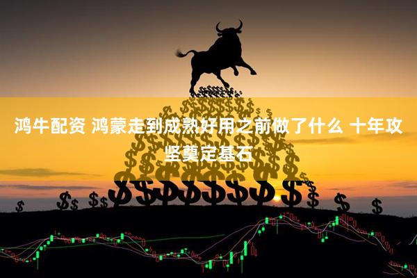 鸿牛配资 鸿蒙走到成熟好用之前做了什么 十年攻坚奠定基石